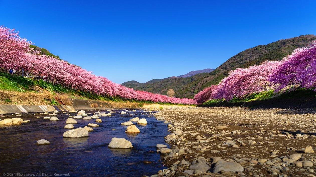 鮮やかな風景 Landscape Photography | Discover Stunning Landscapes Today — Pix4Japan